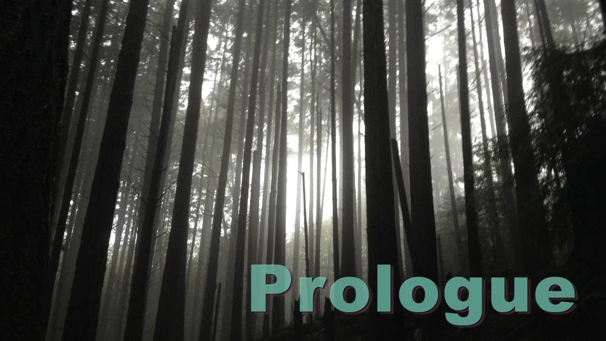 Main Series 01 - Prologue